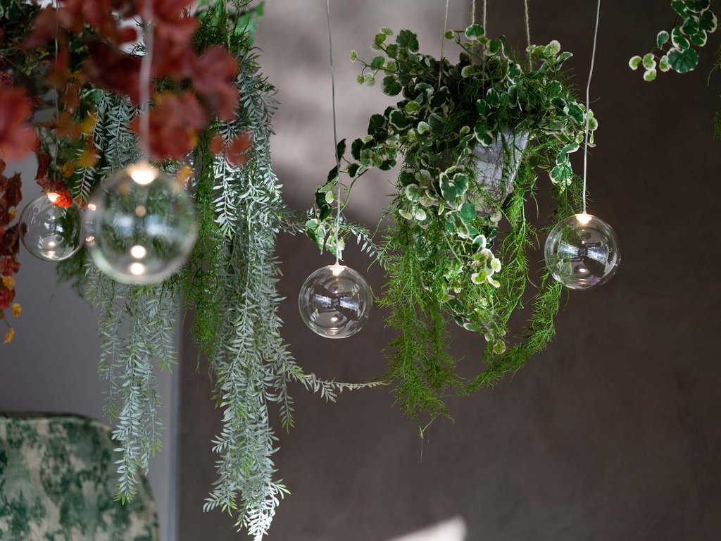 Soraga: dal lago alla piscina del Latemar Luci a sospensione con piante verdi e sfondo grigio