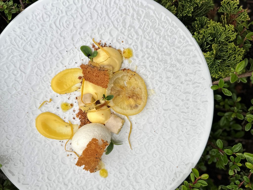 Ristorante gourmet in Val di Fassa: il Mirage al Latemar Dessert gourmet con crema, cialda e fetta di limone su piatto bianco