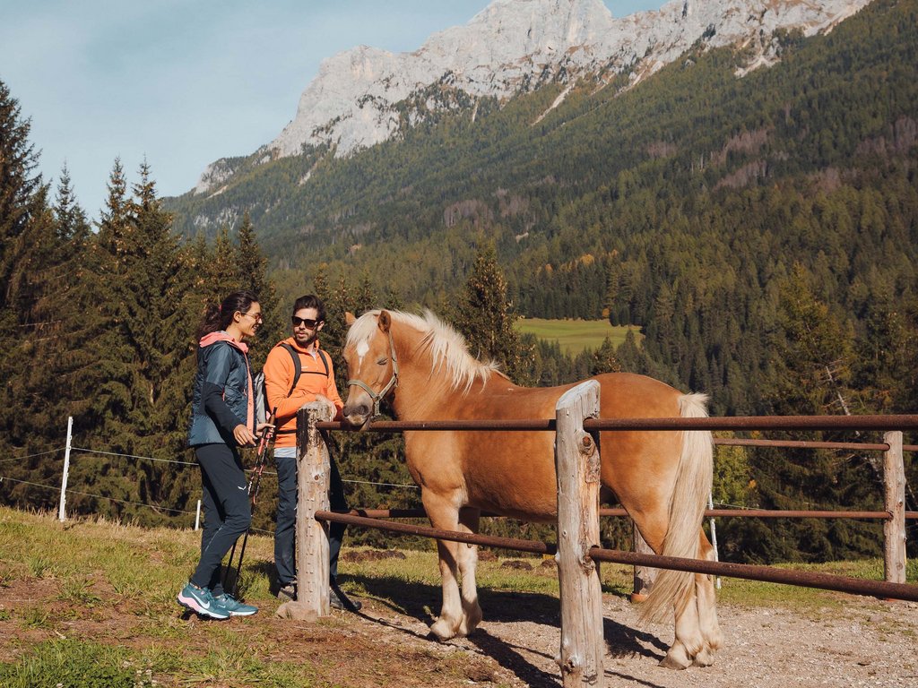 Estate in Val di Fassa, preceduta da una primavera da sogno Due escursionisti parlano con un cavallo vicino a una staccionata montana