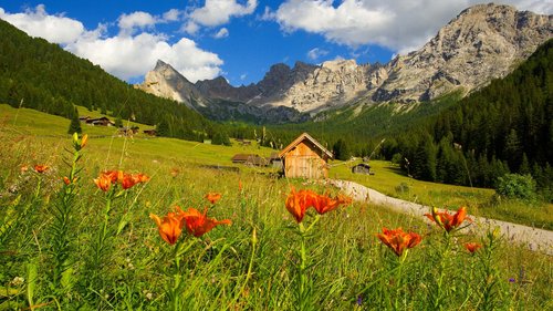 Hotel a Soraga di Fassa: benvenuti al Latemar Fiori arancioni in un prato con chalet e montagne sullo sfondo