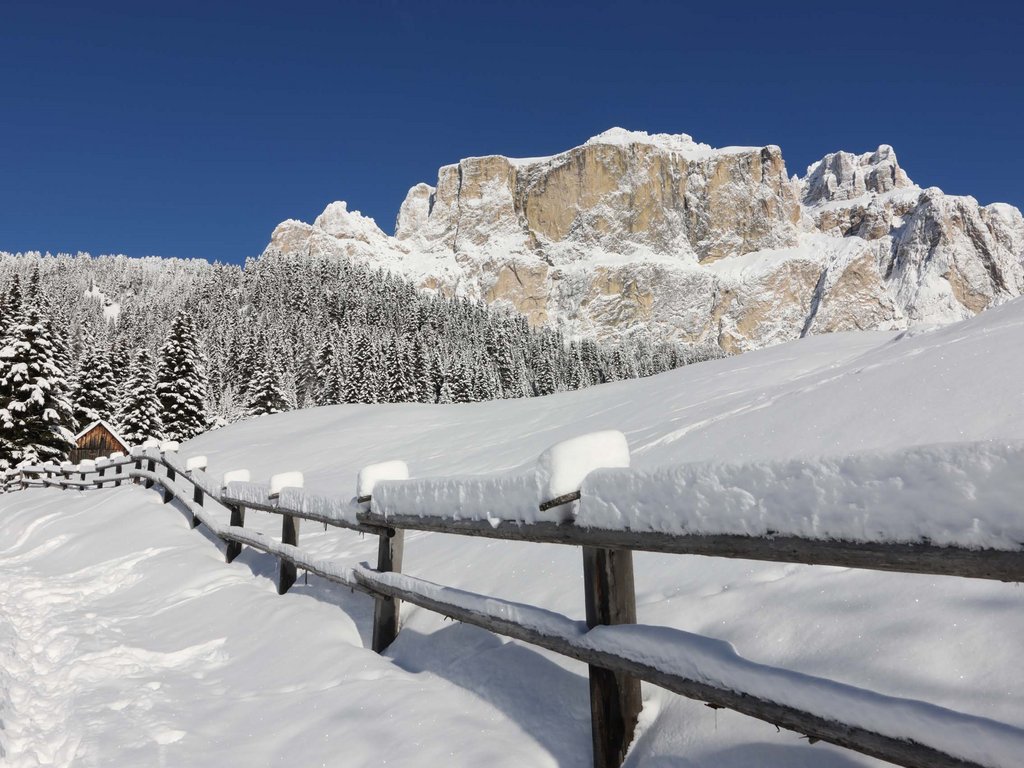 Hotel Latemar con vista sulle Dolomiti Sentiero innevato con recinzione e montagne innevate sullo sfondo